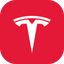 Tesla icon