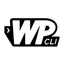 WordPress WP-CLI Commands Explorer icon